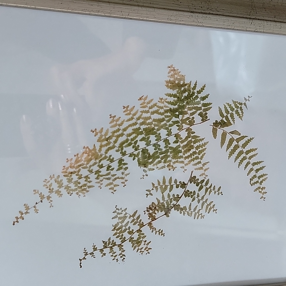 Picture Frame - Picture 3 of 3